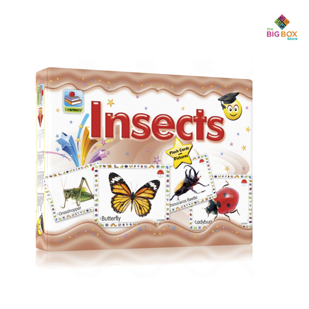 Insects Flashcards (20 Pieces)