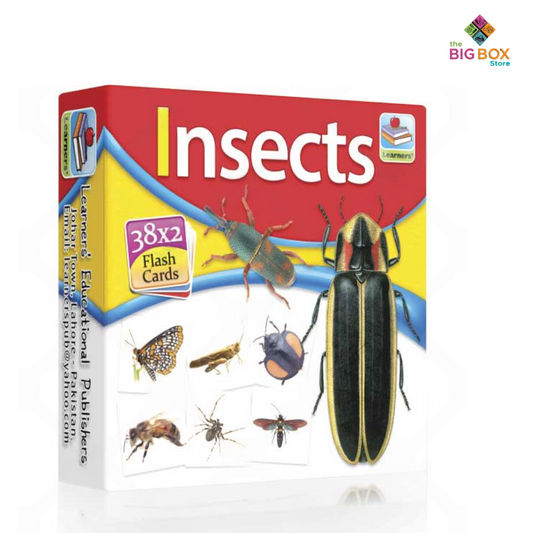 Insects Flash Cards